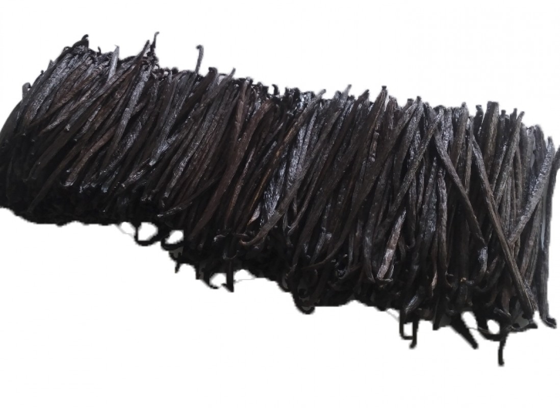 Vanilla Tahitensis from Papua Nuova Guinea